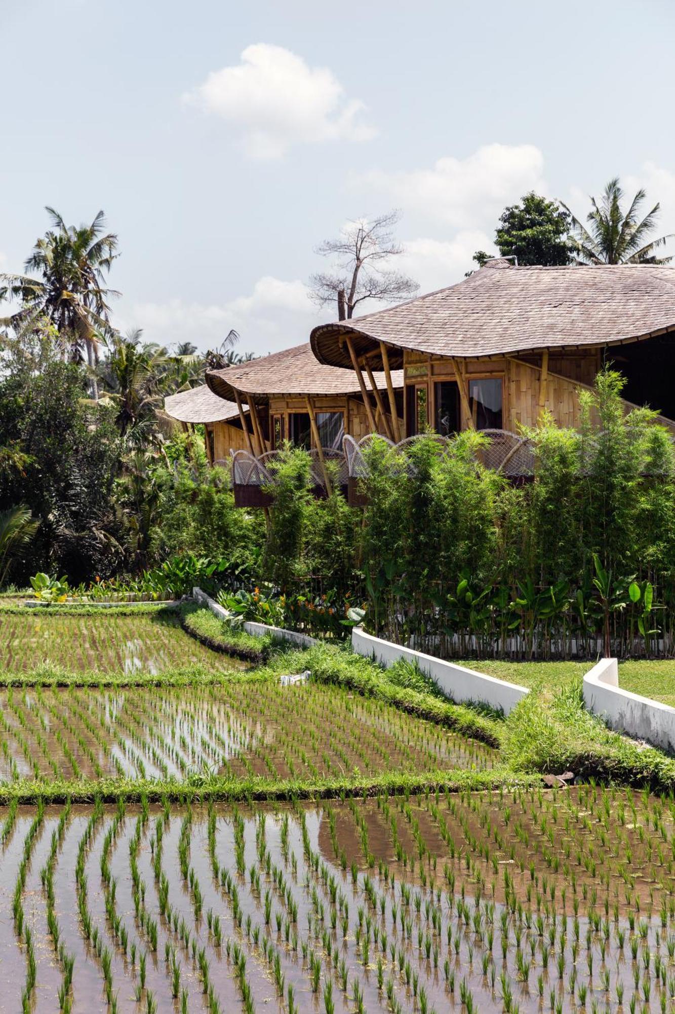 Clan Living - The Lovers Private Ubud